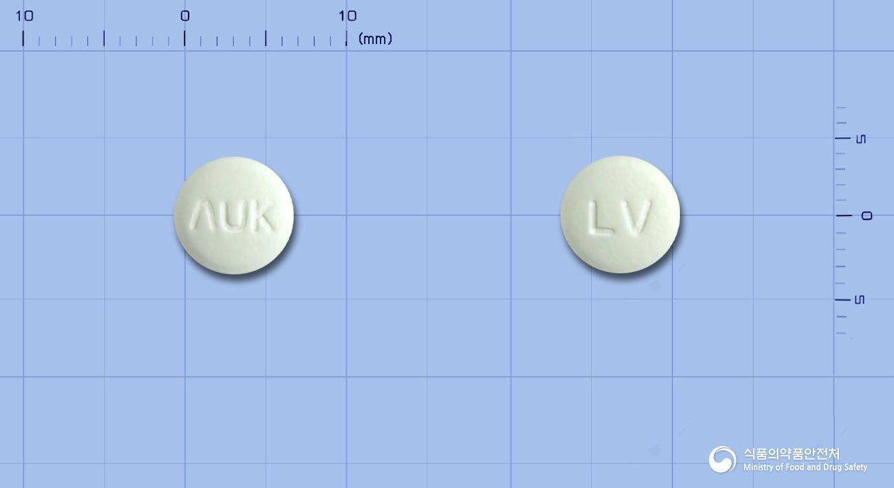 레복스정100밀리그램(레보플록사신수화물)