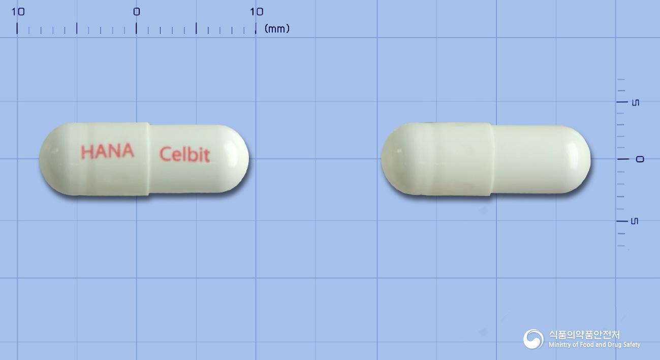 쎌비트캡슐200밀리그램(세레콕시브)