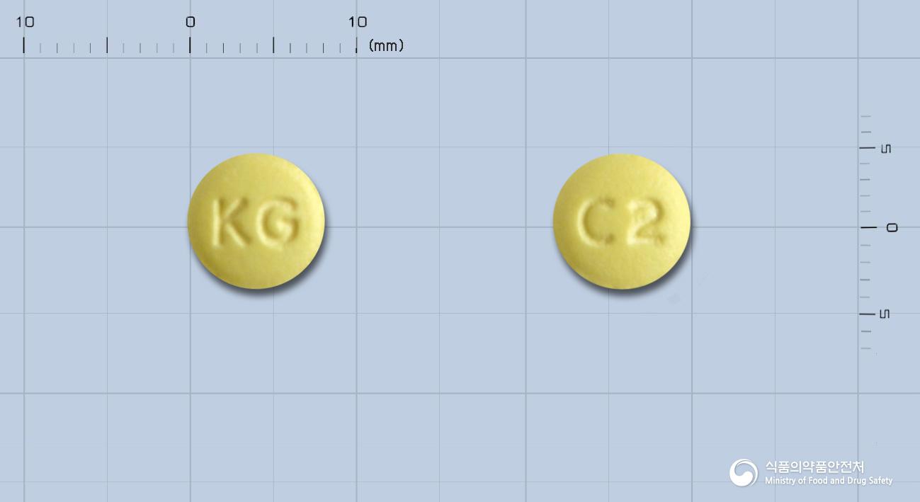 글로비트정(레보플록사신수화물)