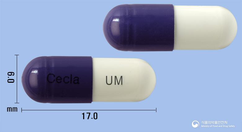 세크라캡슐250밀리그램(세파클러수화물)