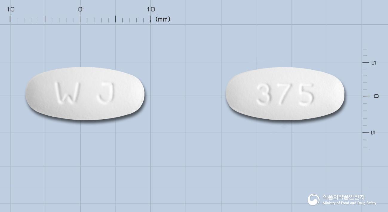 오메크라정375밀리그램(아목시실린수화물·묽은클라불란산칼륨(2:1))