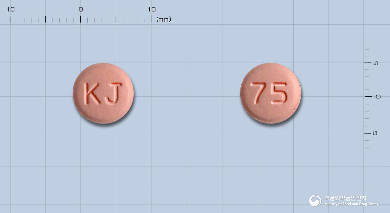 플라그렐정(클로피도그렐황산염)