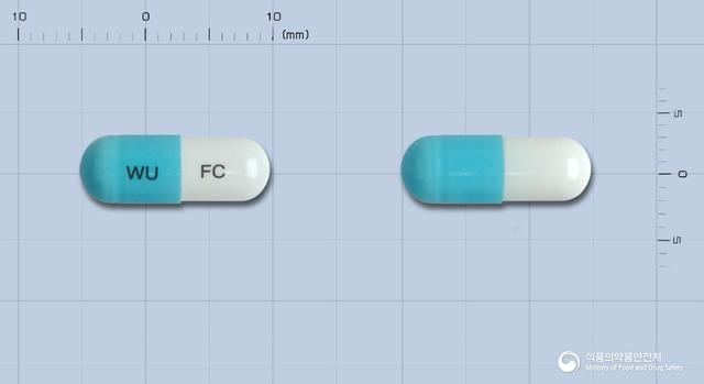 후로졸캡슐50mg(플루코나졸)