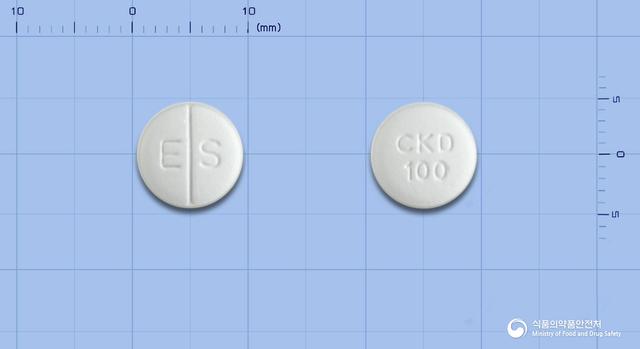 엘로쎄타정100밀리그램(엘로티닙염산염)