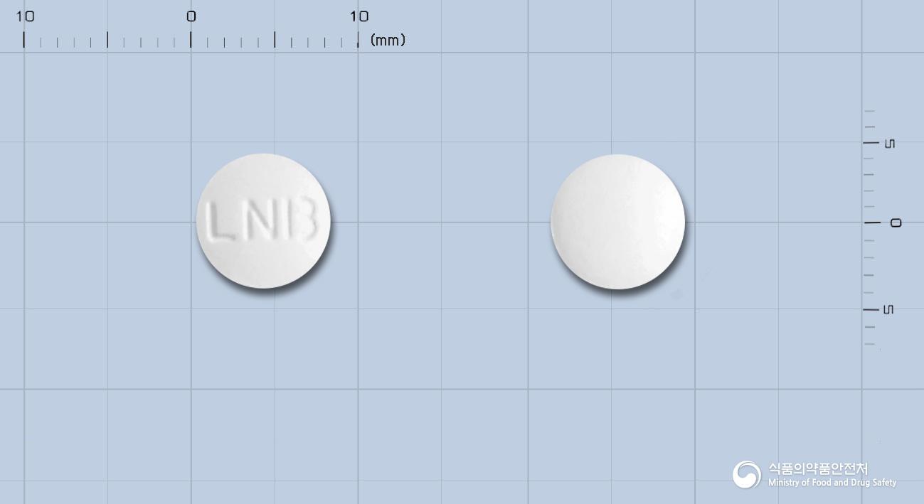 레노보정(레보플록사신수화물)
