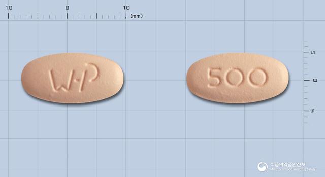 하이록신정500mg(레보플록사신수화물)