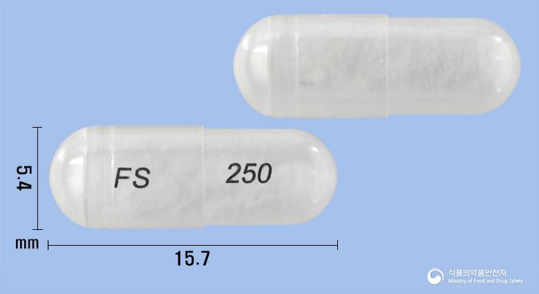 플루테롤흡입용캡슐250/50(플루티카손프로피오네이트,살메테롤)