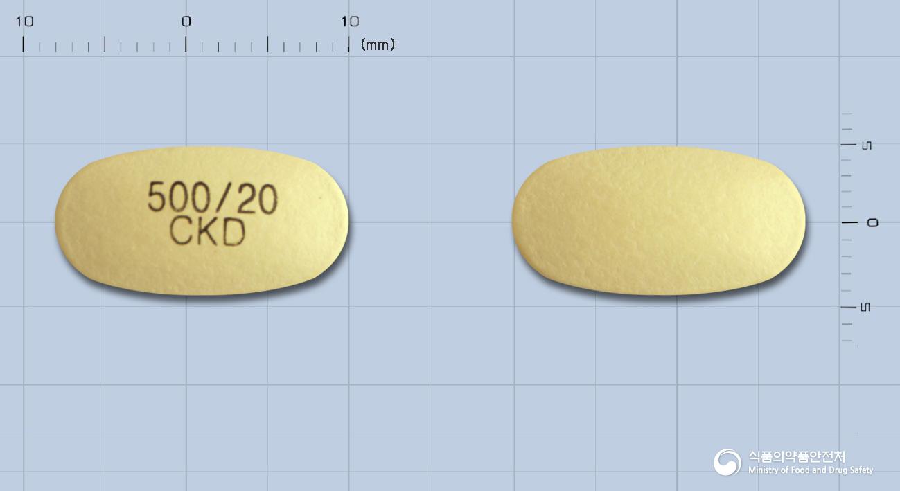낙센에스정500/20밀리그램
