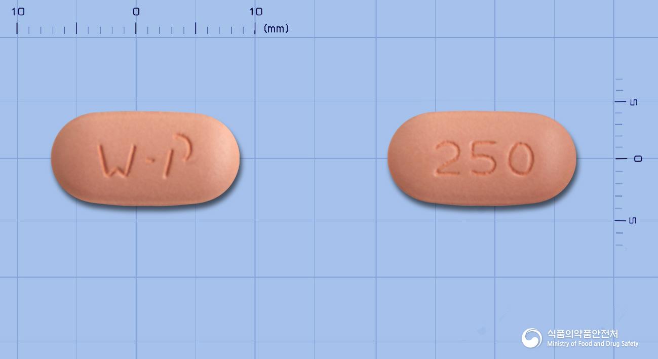 하이록신정250mg(레보플록사신수화물)