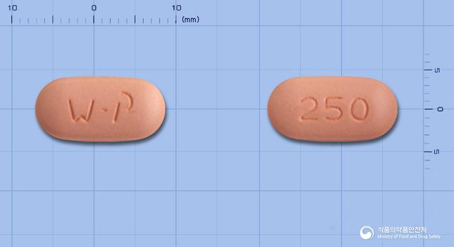 하이록신정250mg(레보플록사신수화물)