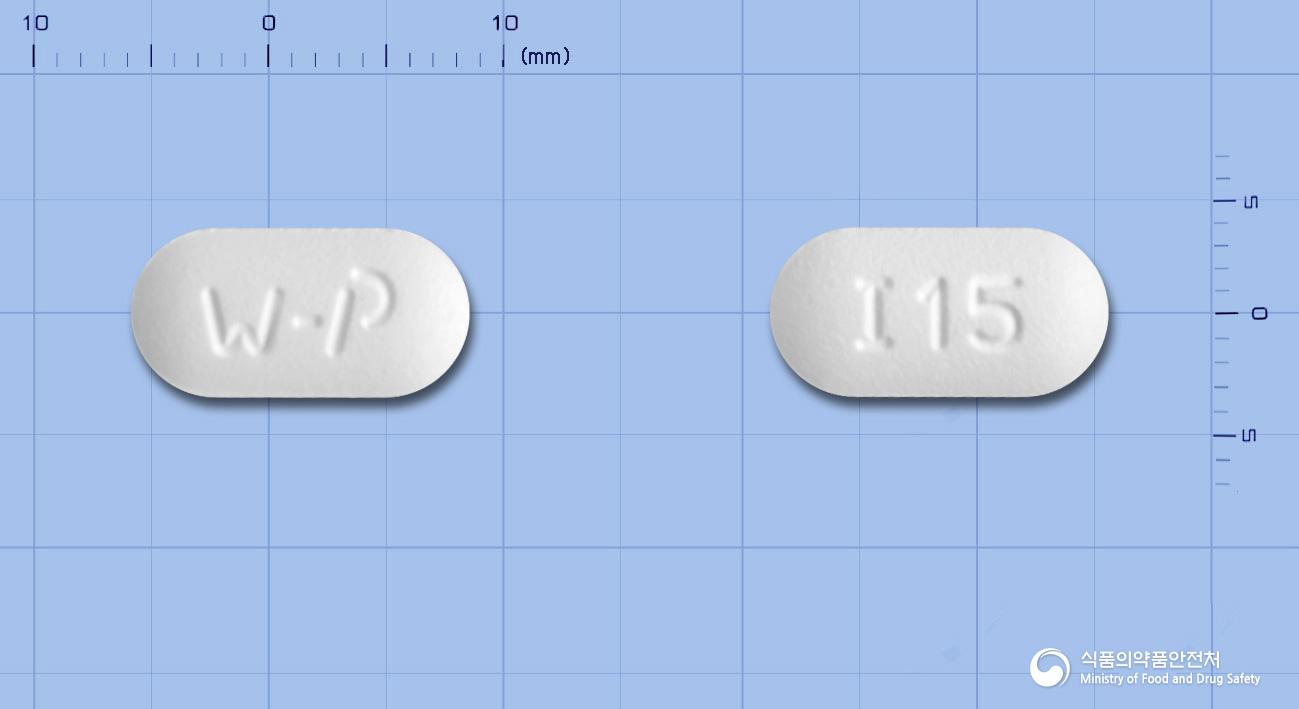보네조아정(이반드론산나트륨일수화물)