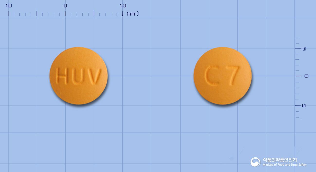 휴리트정(탈니플루메이트)