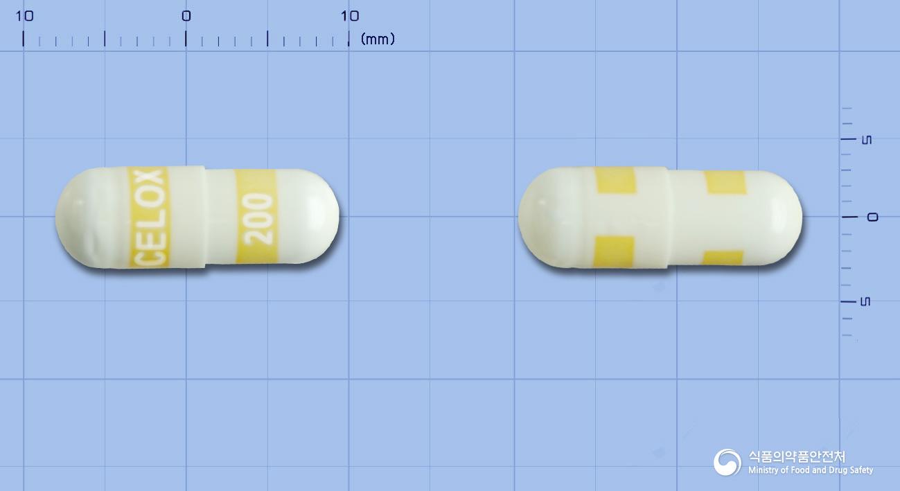셀록스캡슐(세레콕시브)
