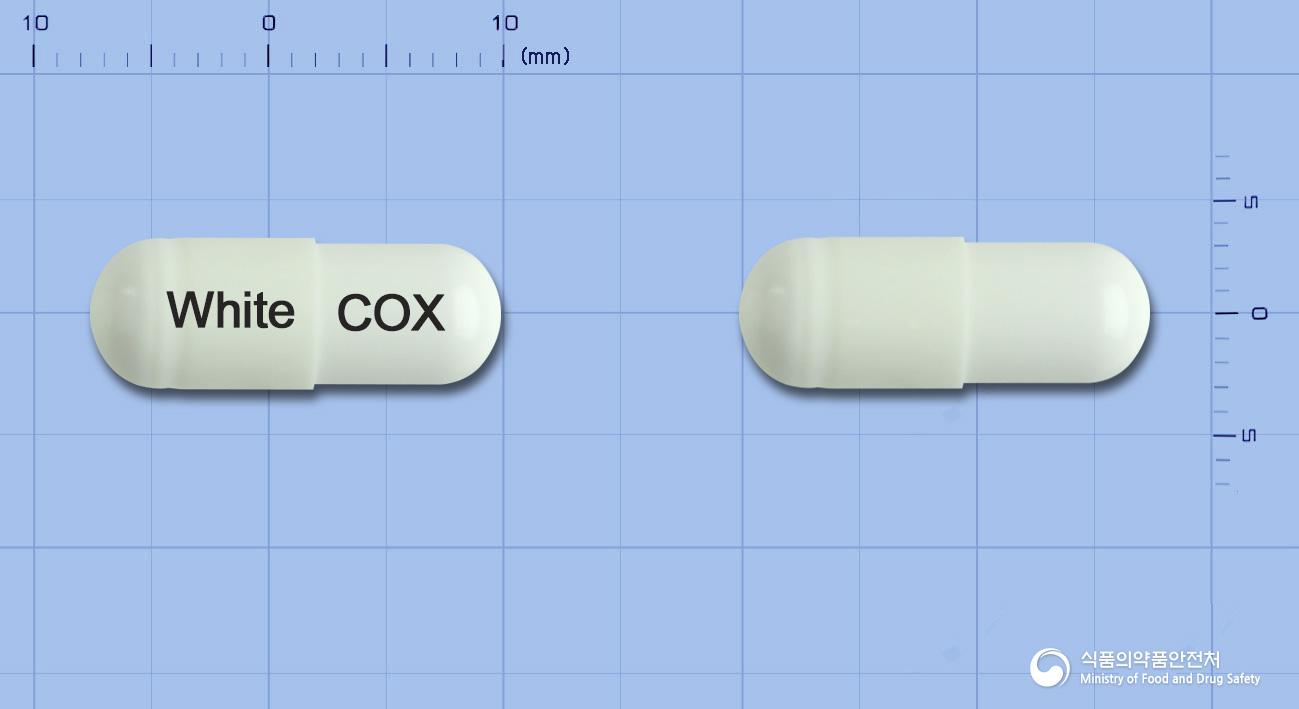 쎄콕스캡슐200밀리그램(세레콕시브)