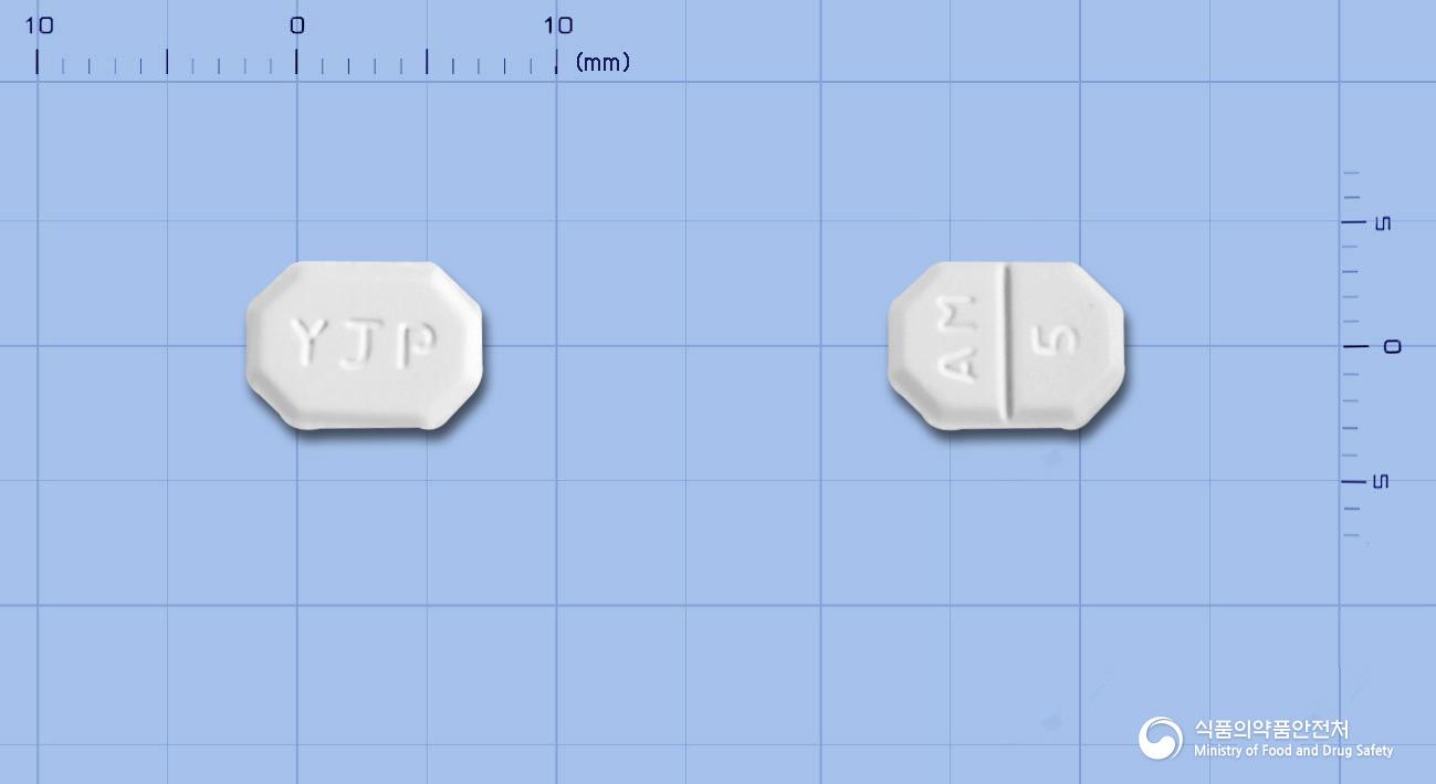 영진암로디핀정(암로디핀베실산염)