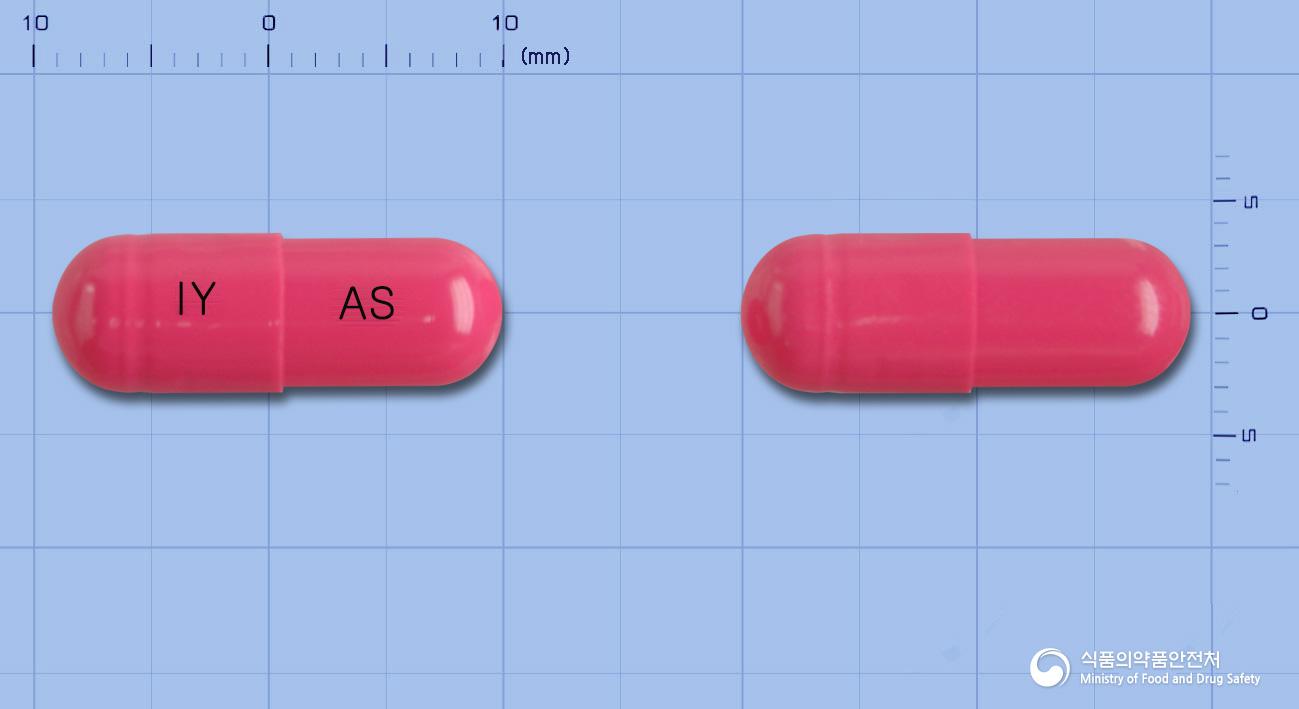 앤디락생캡슐(바실루스리케니포르미스균)