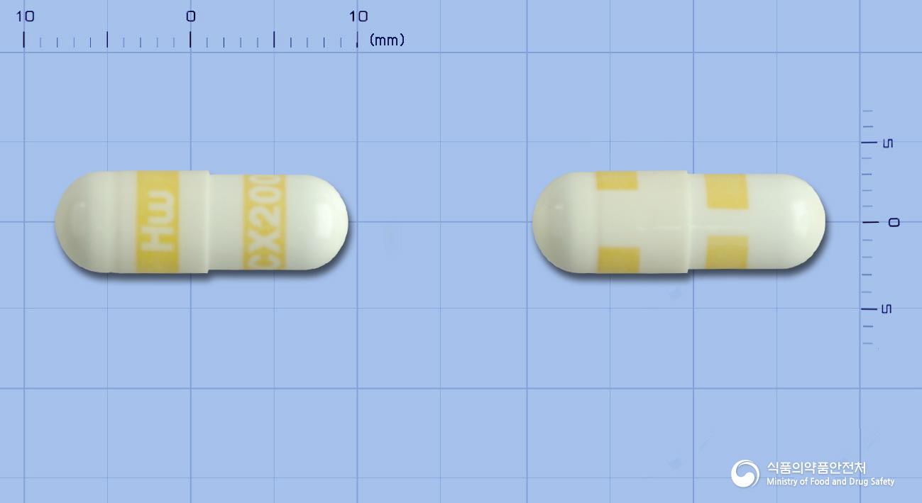 쎌빅캡슐(세레콕시브)