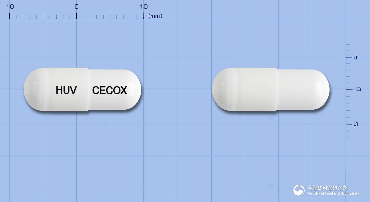 휴렉스캡슐(세레콕시브)