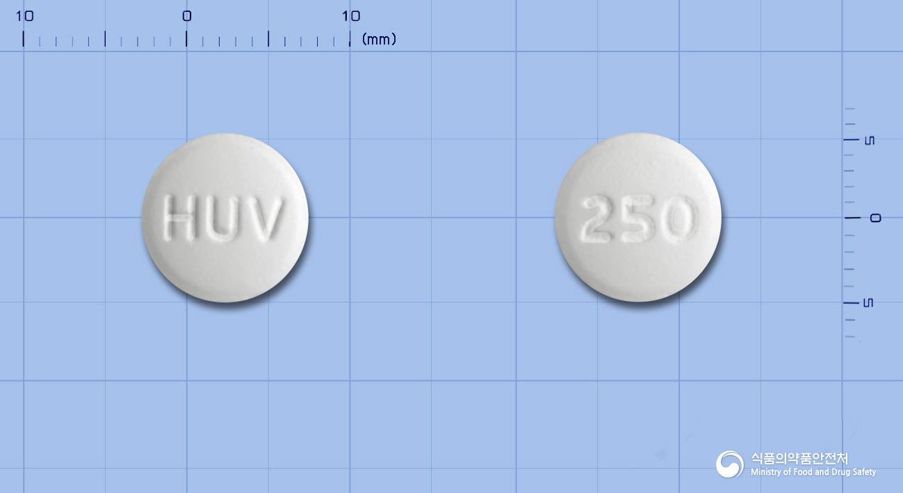 휴팜시정250밀리그램(팜시클로비르)