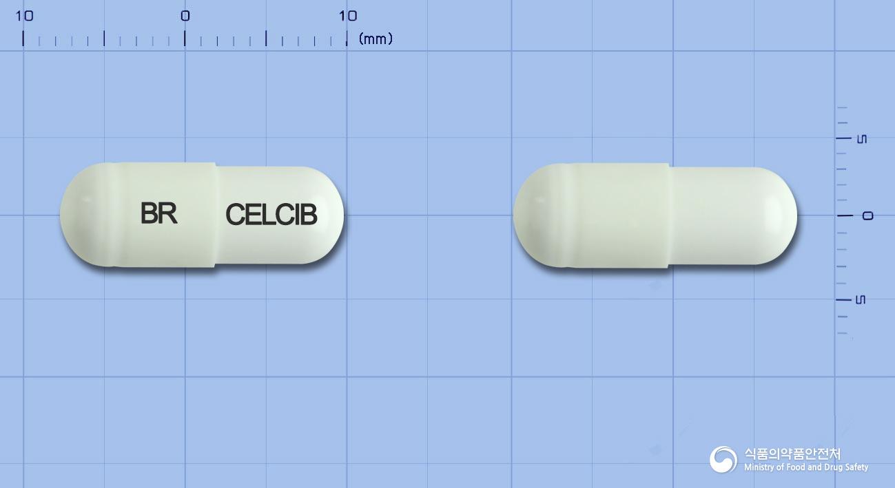 셀시브캡슐200밀리그램(세레콕시브)