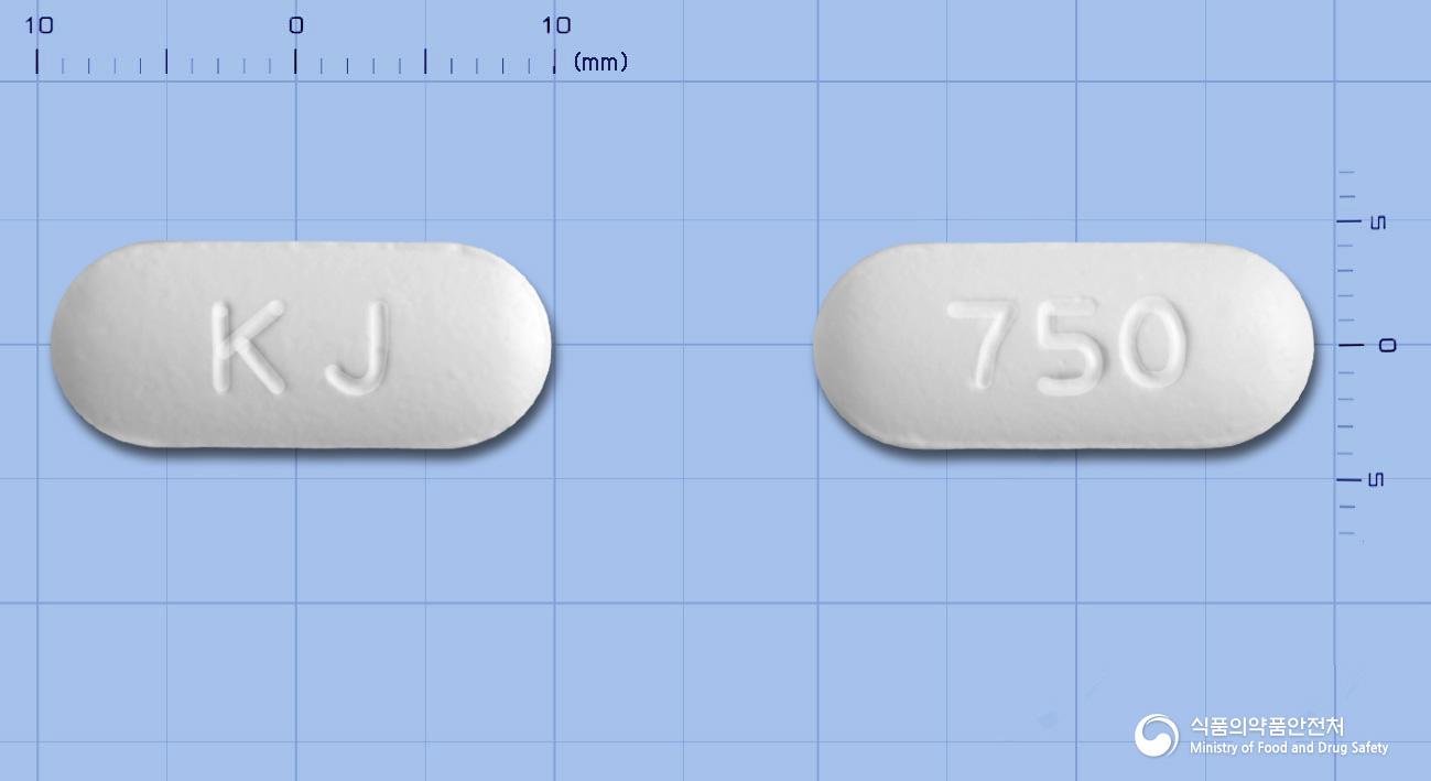 레보카신정750밀리그램(레보플록사신수화물)
