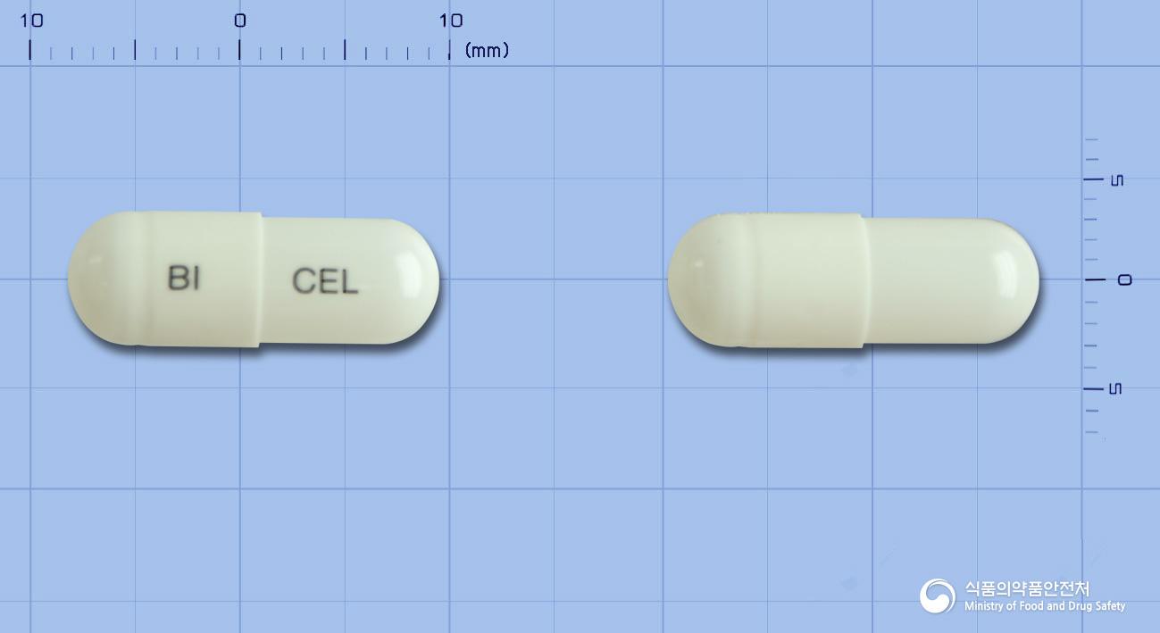 클록시브캡슐(세레콕시브)