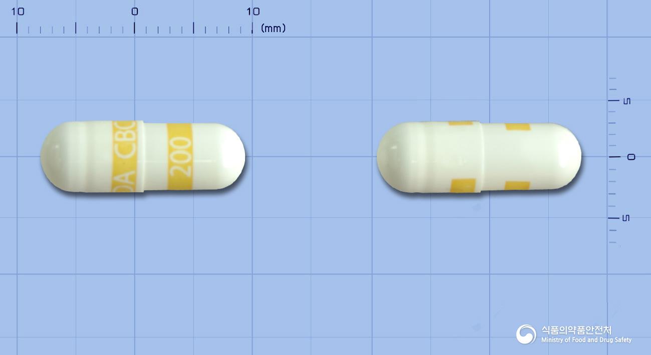 셀베스타캡슐(세레콕시브)
