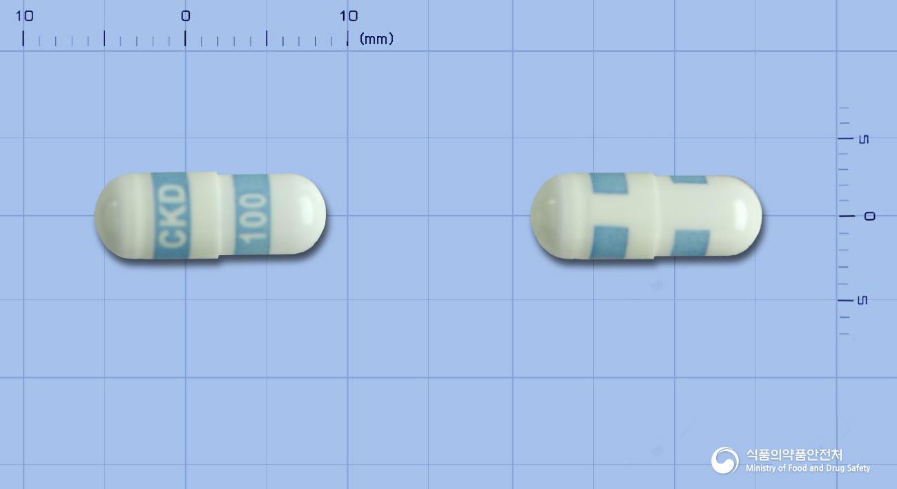 콕스비토캡슐100밀리그램(세레콕시브)