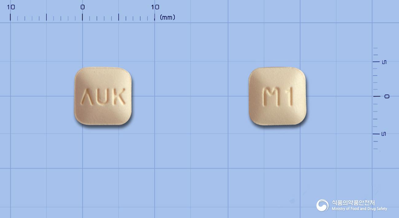 몬테스코정10mg(몬테루카스트나트륨)