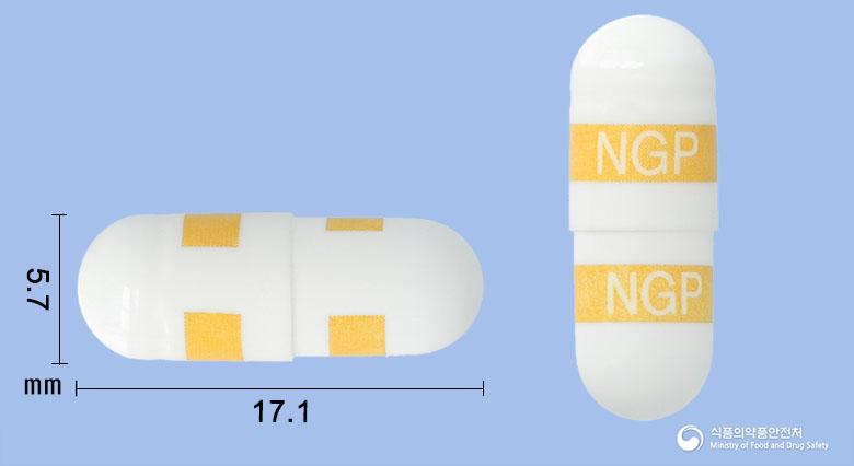 쎄레젠캡슐200mg(세레콕시브)