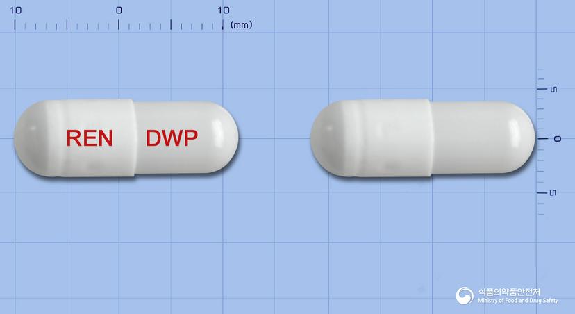 레나메진캡슐(구형흡착탄)