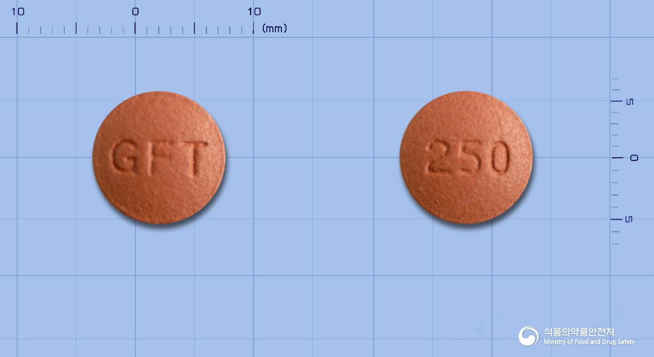 제피티닙정250밀리그램(게피티니브)