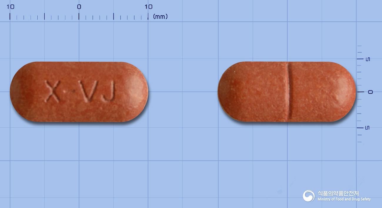 엑스비타제이정