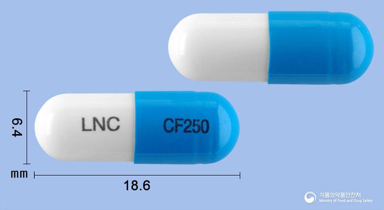 메가세클러캡슐(세파클러수화물)