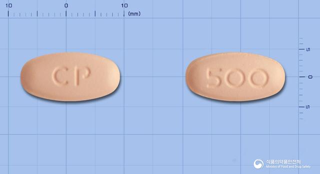 레플록신정500mg(레보플록사신)