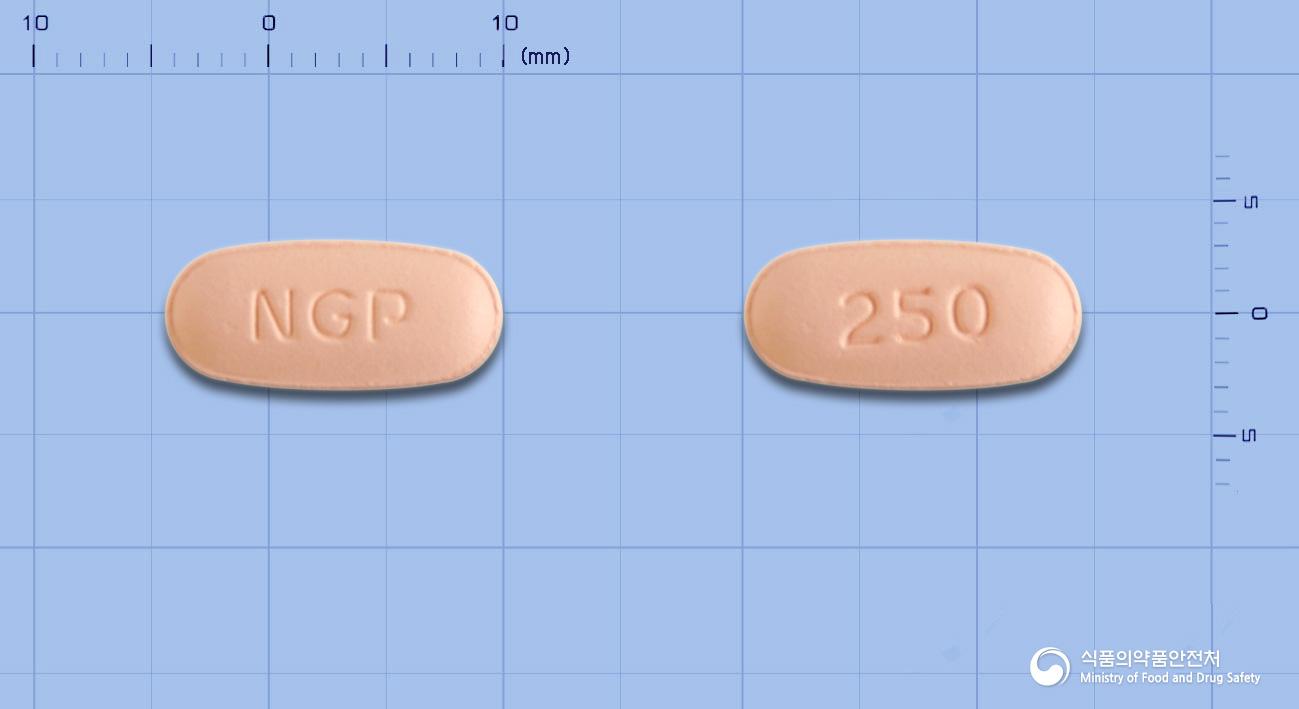 세프로젠정(세프프로질수화물)