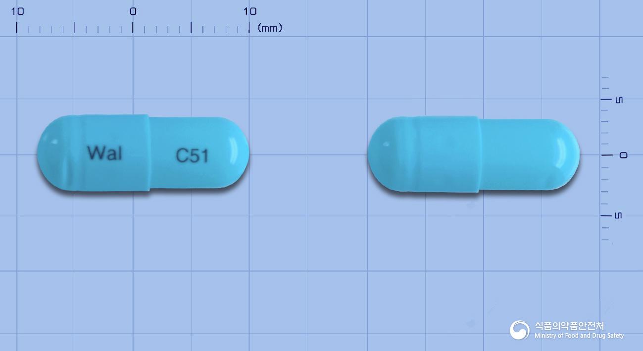 루비돌플러스캡슐