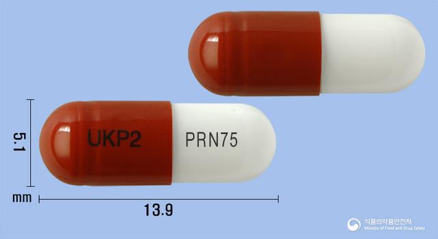 넬슨프레가발린캡슐75mg(프레가발린)