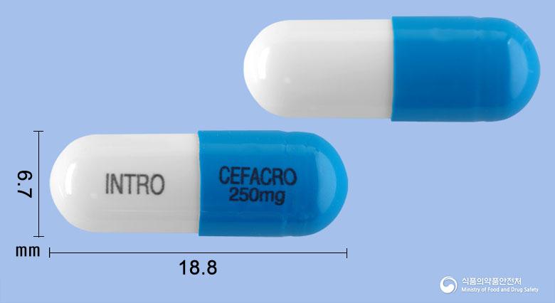 세파크로캡슐250mg(세파클러수화물)