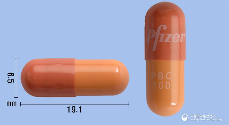 입랜스캡슐100mg(팔보시클립)