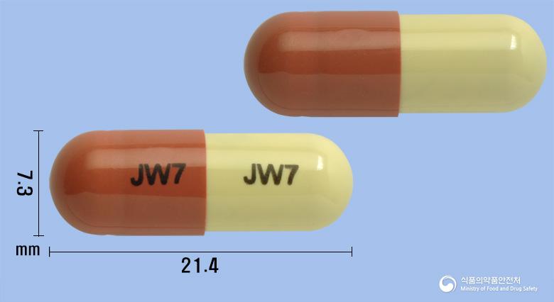 헤토마신캡슐(구풍해독탕)