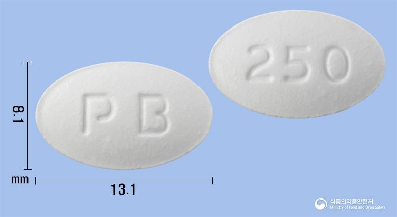도베인정250밀리그램(도베실산칼슘수화물)