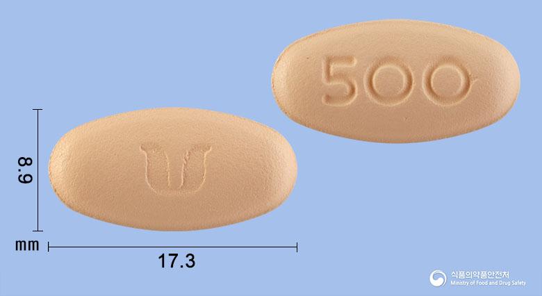 레보에프정500밀리그램(레보플록사신수화물)