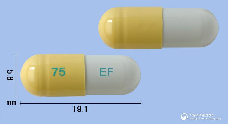 이지플루캡슐75mg(오셀타미비르인산염)