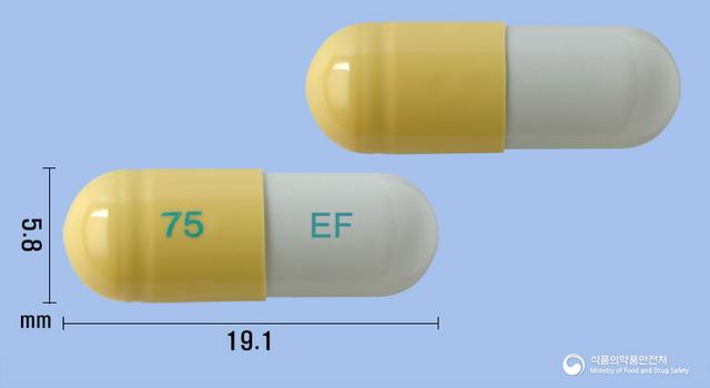 이지플루캡슐75mg(오셀타미비르인산염)