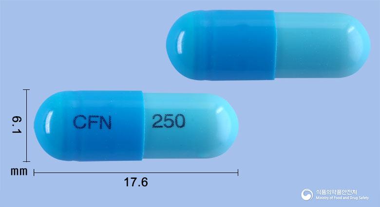 세프닐캡슐250밀리그램(세파클러수화물)(수출명:CEFNIL)