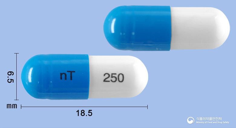 신텍스세파클러캡슐(세파클러수화물)