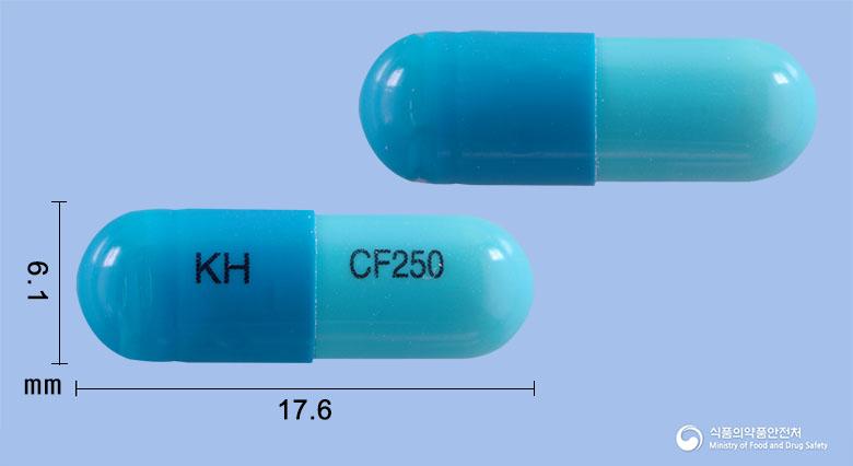 셀파클러캡슐250밀리그램(세파클러수화물)
