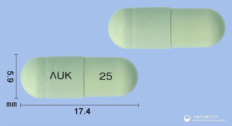 모스캄캡슐(멜록시캄)