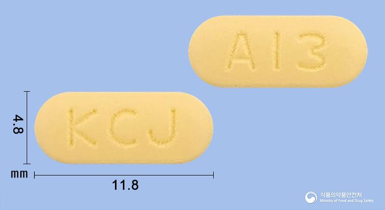 트라맥스세미정